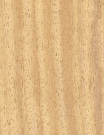 Iroko mediena